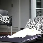 Hotel Centret 3*