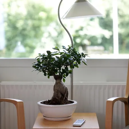 Centret Szálloda Rørvig