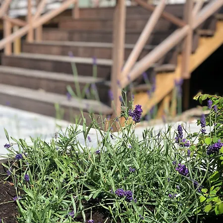 Centret Rørvig